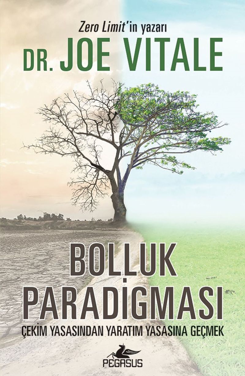 Bolluk Paradigması Çekim Yasasından Yaratım Yasasına Geçmek kitap kapağı