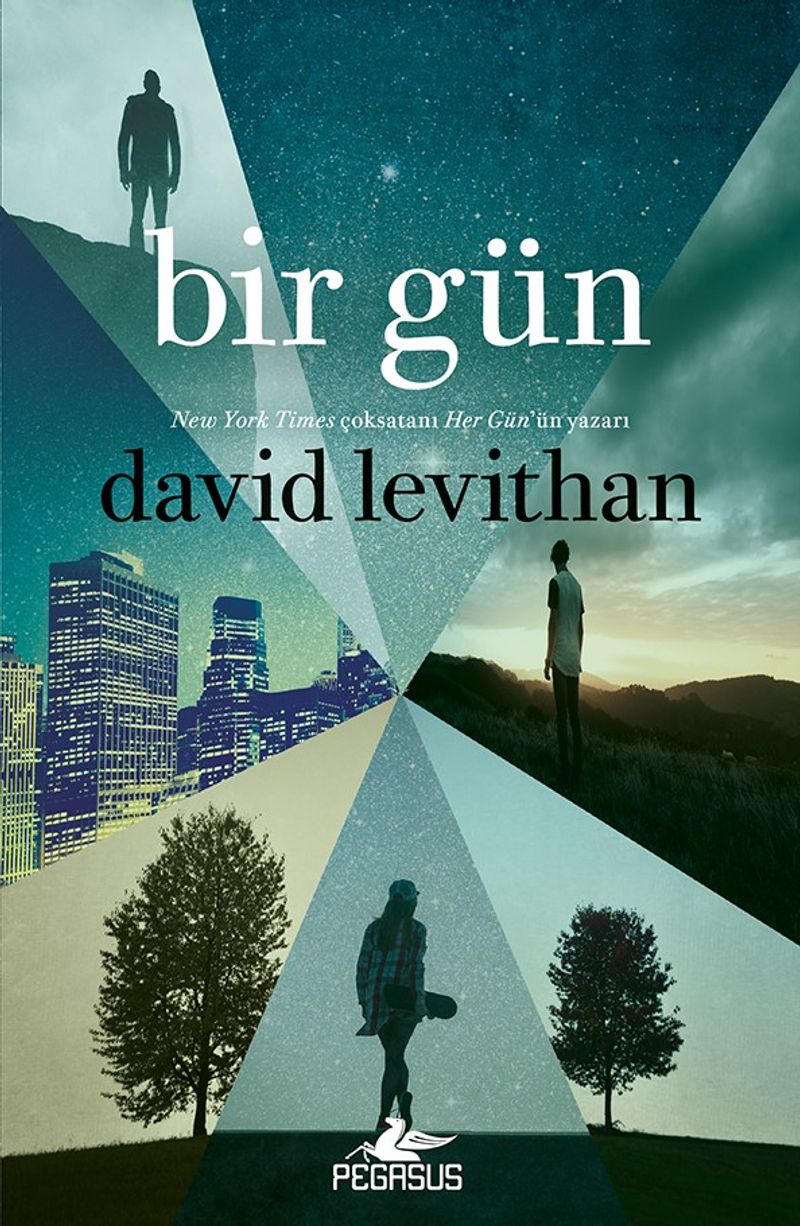 Bir Gün (Her Gün Serisi 3. Kitap) kitap kapağı
