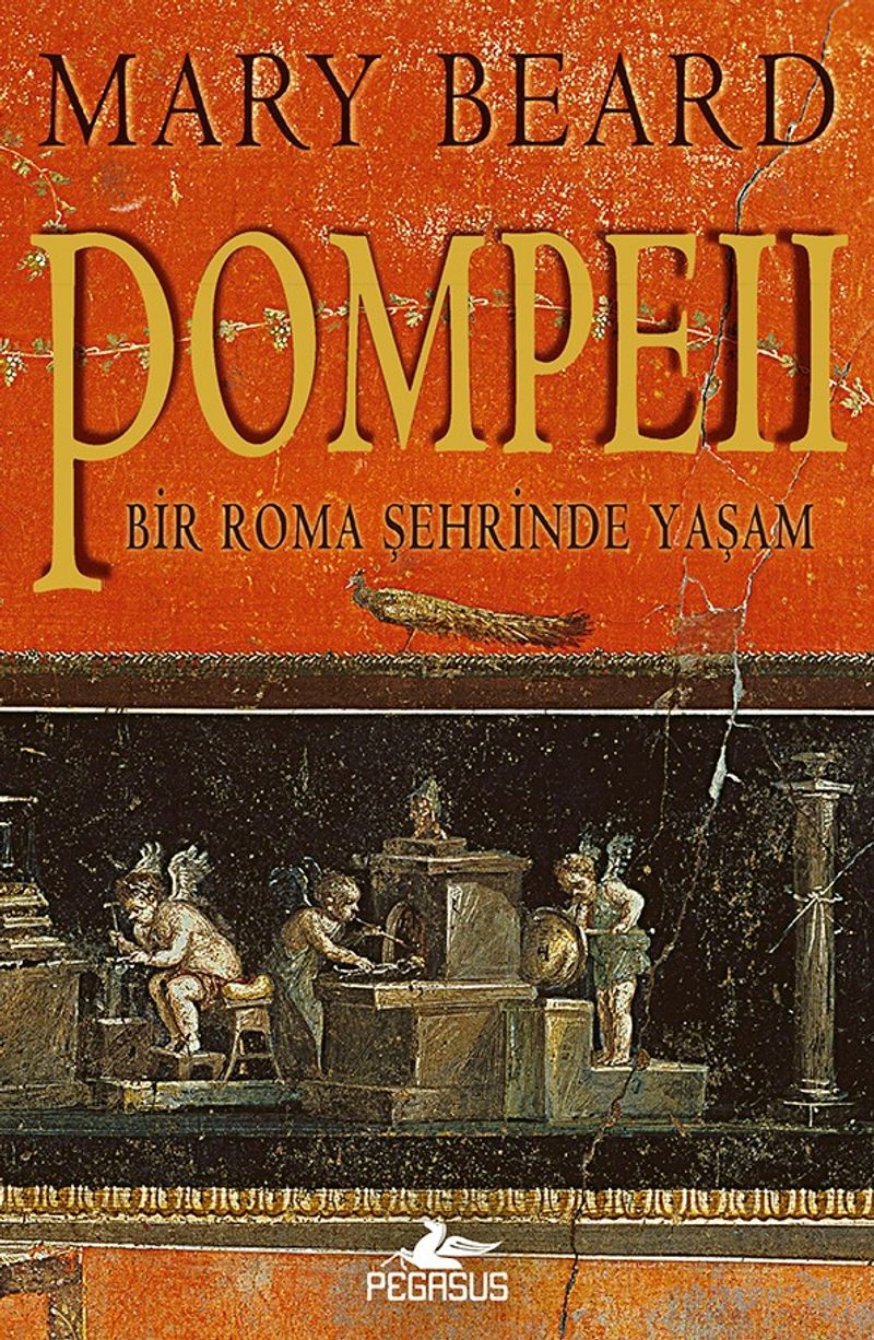 Pompeii Bir Roma Şehrinde Yaşam kitap kapağı