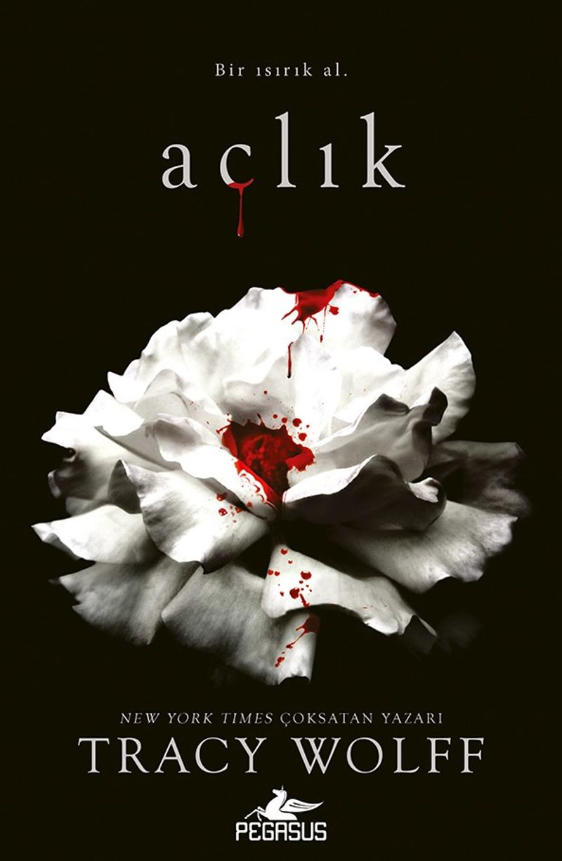 Açlık / Açlık Serisi 1 kitap kapağı
