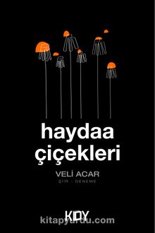 Haydaa Çiçekleri kitap kapağı