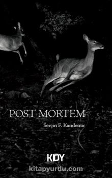 Post Mortem kitap kapağı
