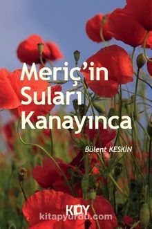 Meriç'in Suları Kanayınca kitap kapağı