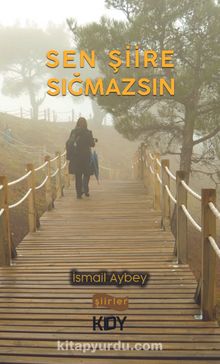 Sen Şiire Sığmazsın kitap kapağı