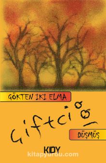 Gökten İki Elma Düşmüş kitap kapağı