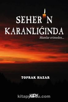 Seherin Karanlığında kitap kapağı