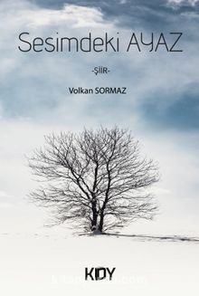 Sesimdeki Ayaz kitap kapağı