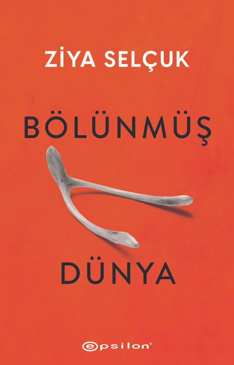 Bölünmüş Dünya kitap kapağı