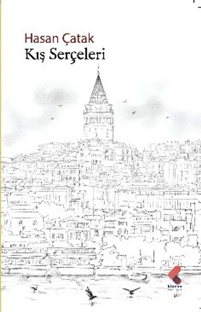 Kış Serçeleri kitap kapağı