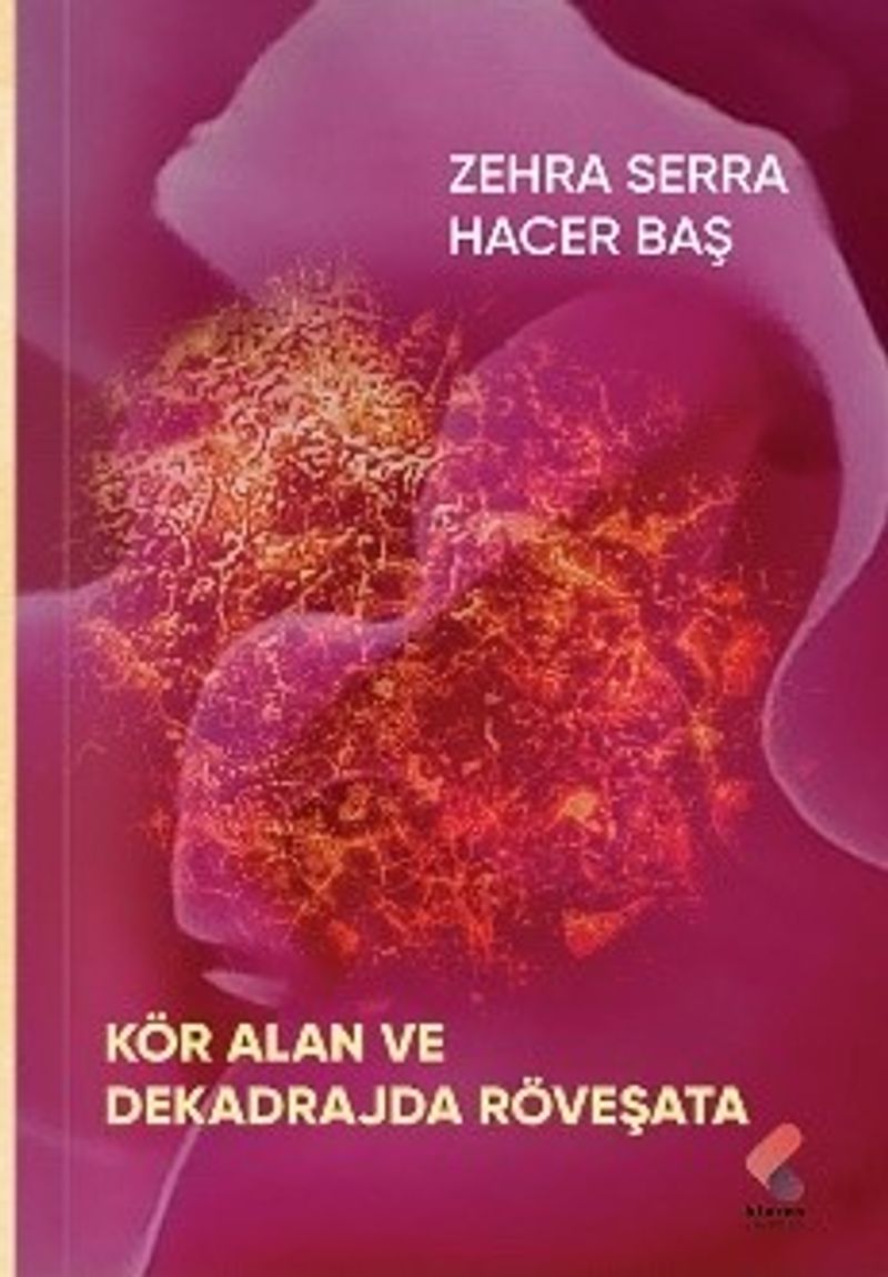 Kör Alan ve Dekadrajda Röveşata kitap kapağı