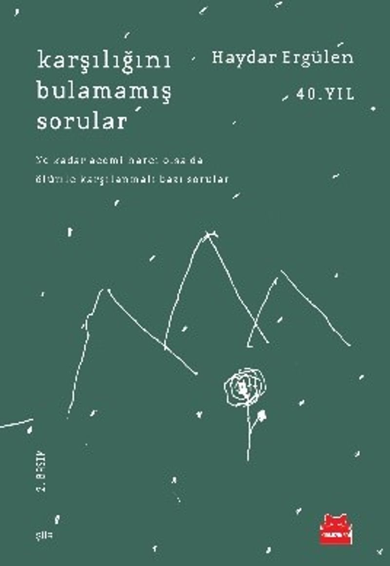 Karşılığını Bulamamış Sorular kitap kapağı
