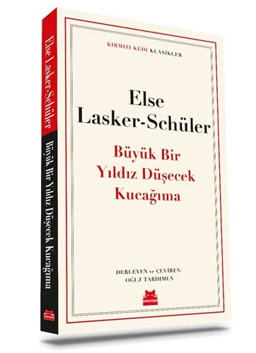 Büyük Bir Yıldız Düşecek Kucağıma kitap kapağı