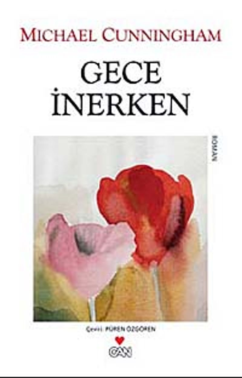 Gece İnerken kitap kapağı