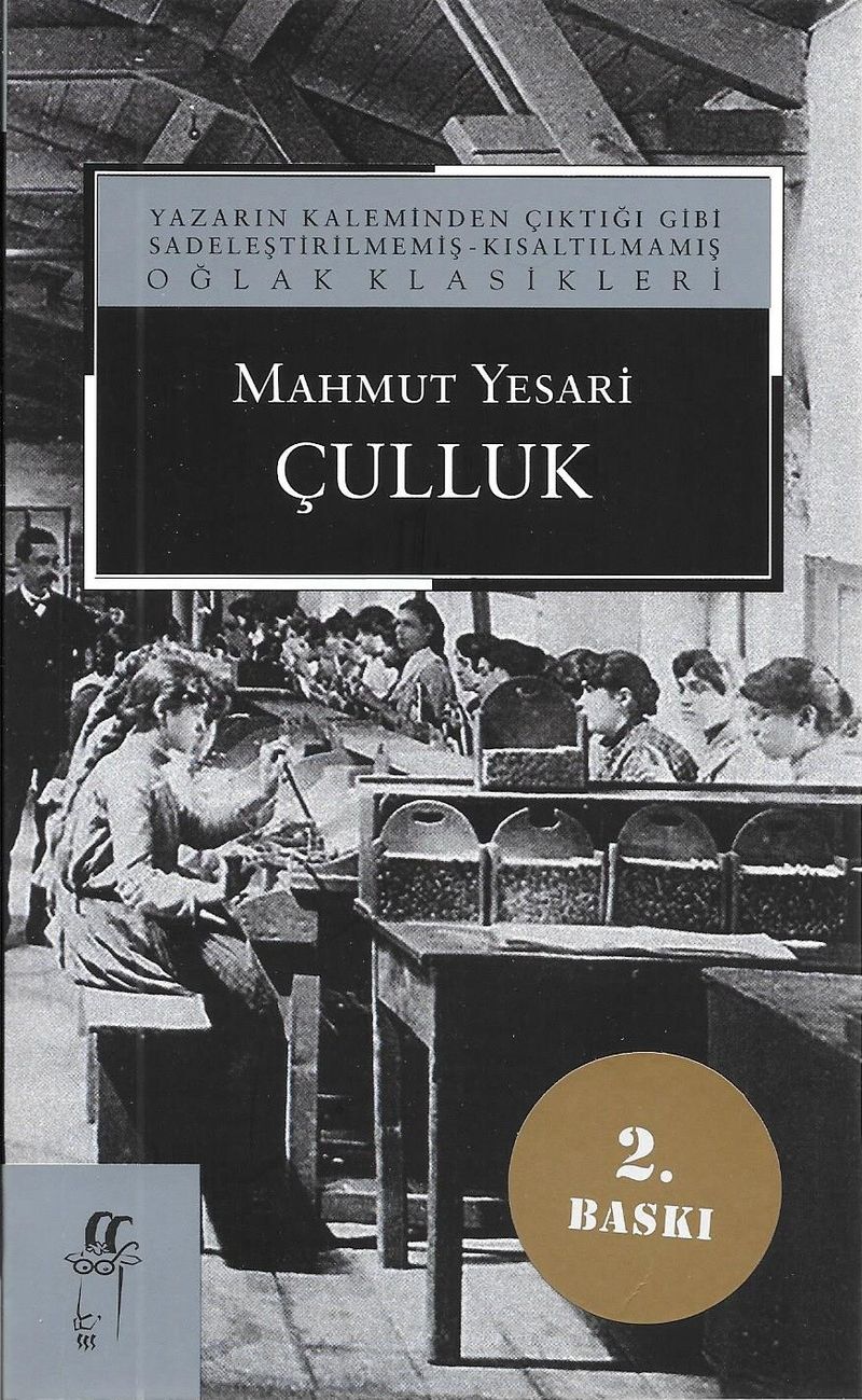 Çulluk kitap kapağı