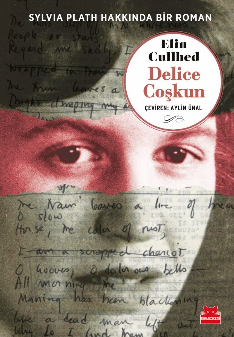Delice Coşkun kitap kapağı