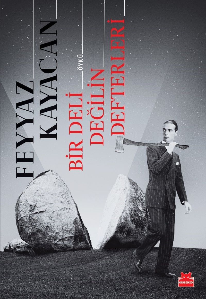 Bir Deli Değilin Defterleri kitap kapağı