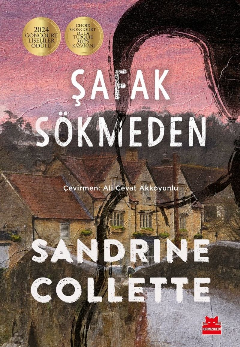 Şafak Sökmeden kitap kapağı