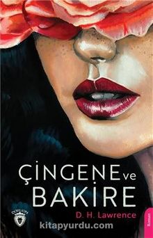 Çingene ve Bakire kitap kapağı