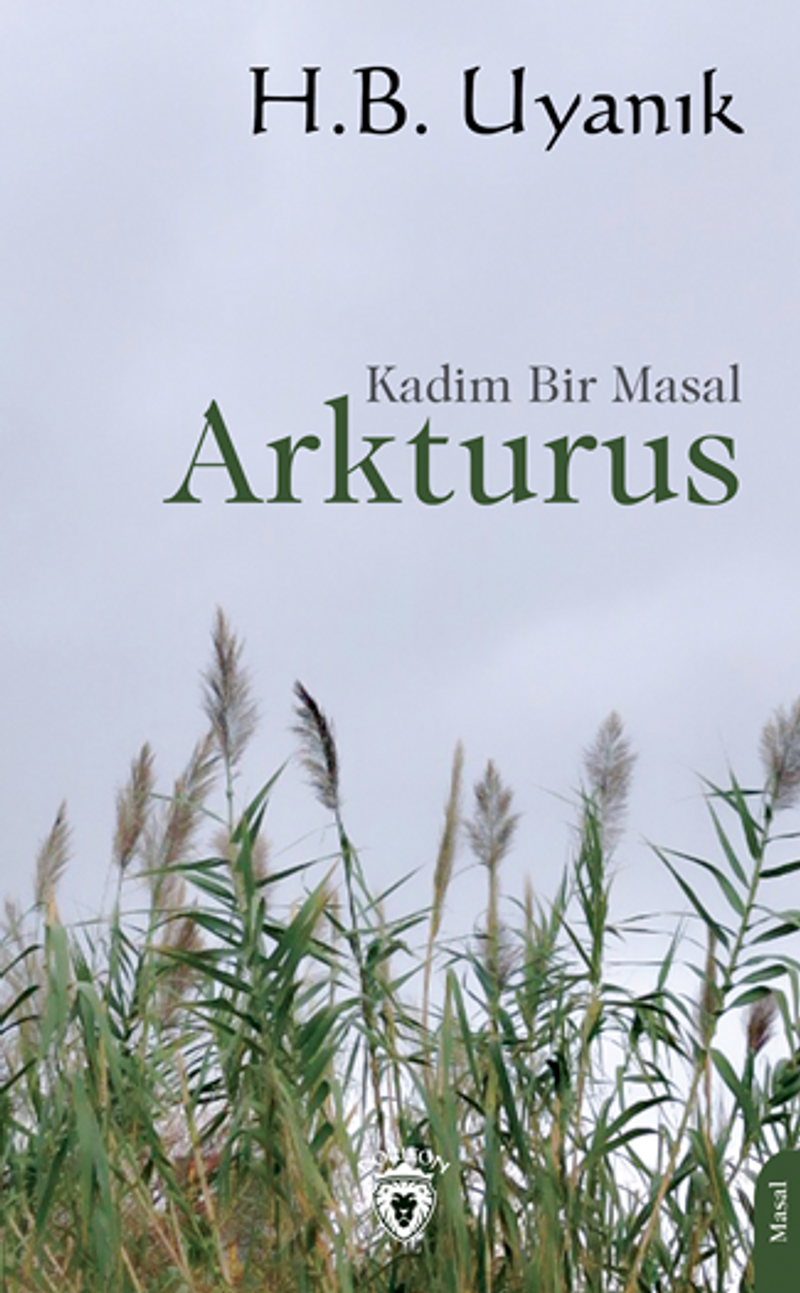 Arkturus kitap kapağı