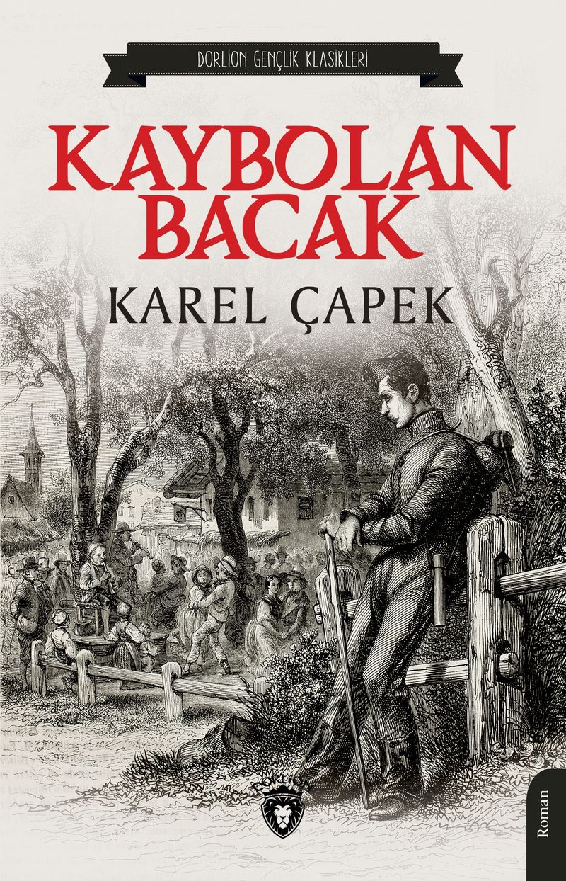 Kaybolan Bacak kitap kapağı