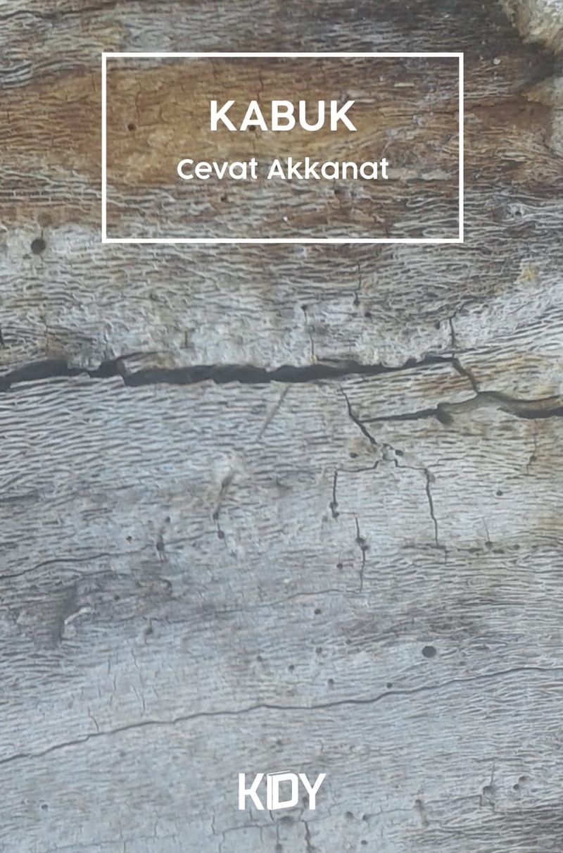 Kabuk kitap kapağı