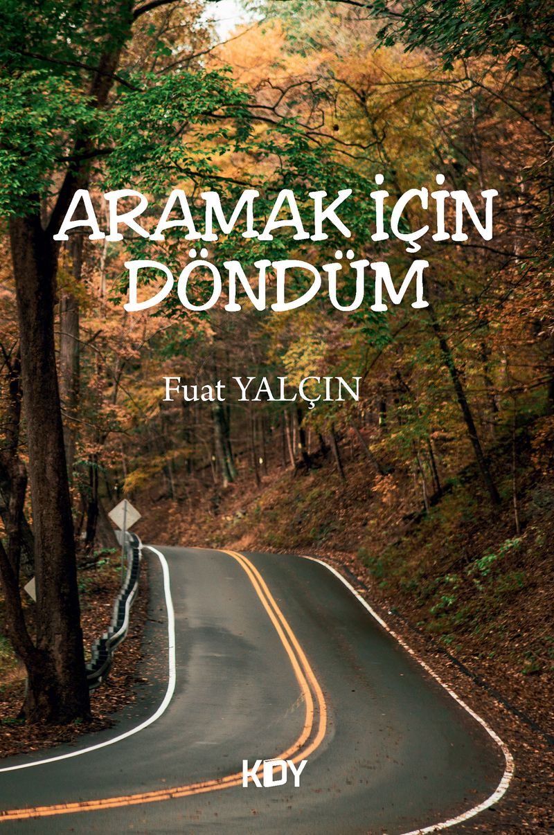 Aramak İçin Döndüm kitap kapağı