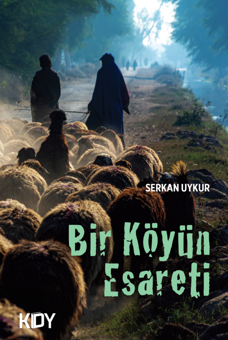 Bir Köyün Esareti kitap kapağı