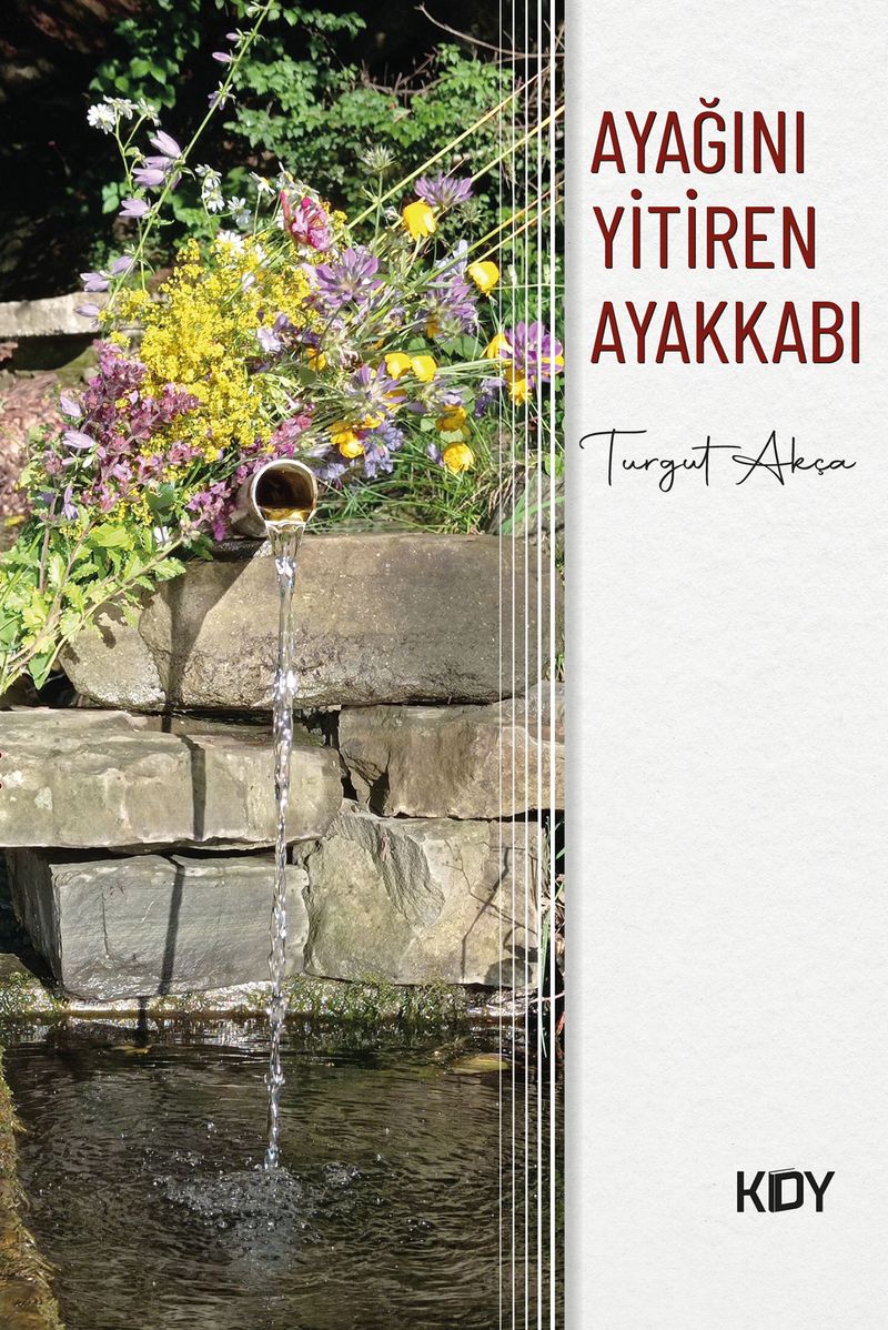 Ayağını Yitiren Ayakkabı kitap kapağı