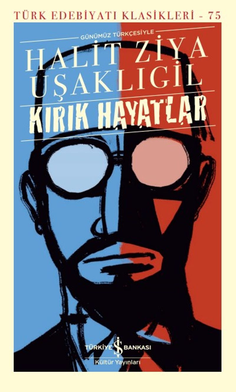 Kırık Hayatlar (Ciltli) kitap kapağı