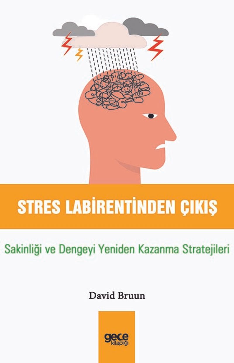 Stres Labirentinden Çıkış Sakinliği ve Dengeyi Yeniden Kazanma Stratejileri kitap kapağı