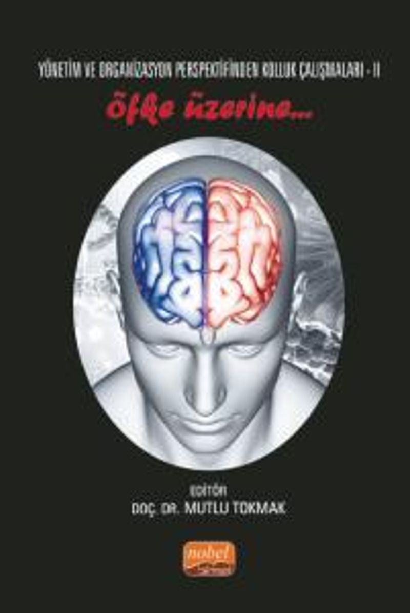 Yönetim ve Organizasyon Perspektifinden Kolluk Çalışmaları II - Öfke Üzerine.. kitap kapağı