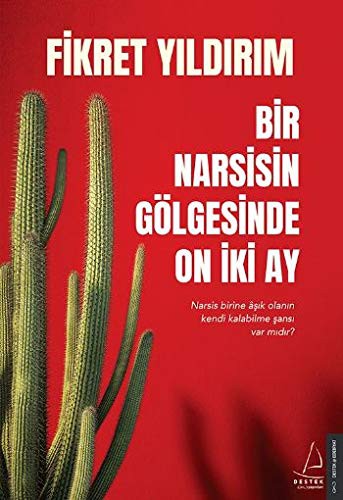 Bir Narsisin Gölgesinde On İki Ay kitap kapağı