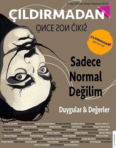 Çıldırmadan Önce Son Çıkış Sadece Normal Değilim kitap kapağı