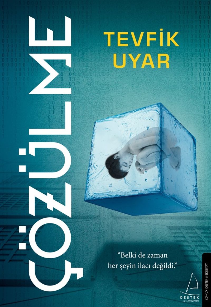 Çözülme kitap kapağı
