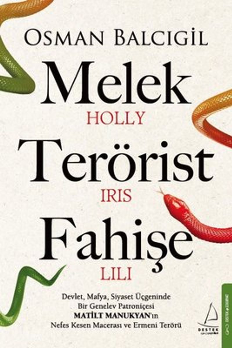 Melek Terörist Fahişe kitap kapağı