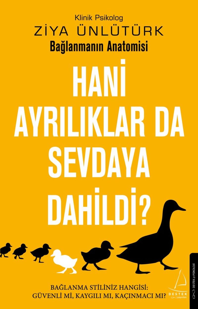 Hani Ayrılıklar da Sevdaya Dahildi? kitap kapağı