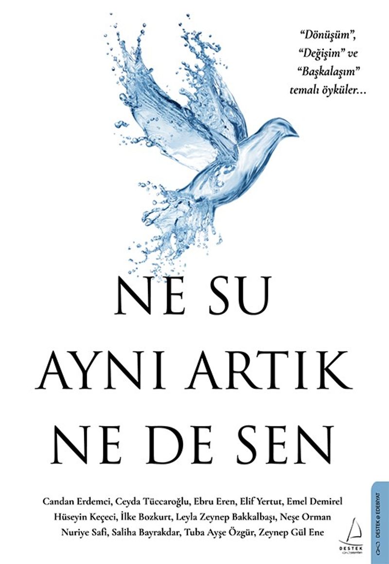Ne Su Aynı Artık Ne de Sen kitap kapağı