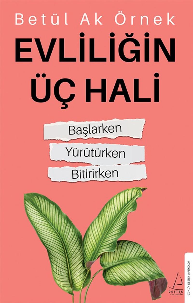 Evliliğin Üç Hali Başlarken-Yürütürken-Bitirirken kitap kapağı