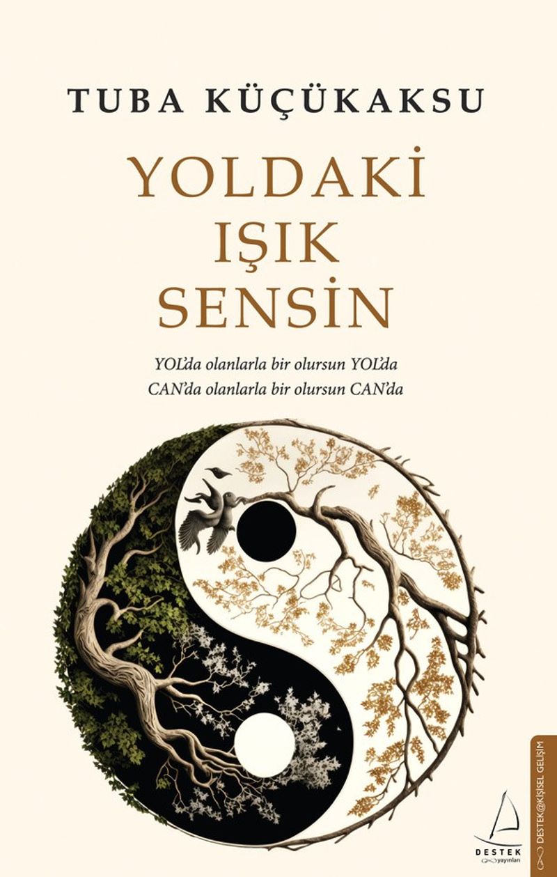 Yoldaki Işık Sensin kitap kapağı