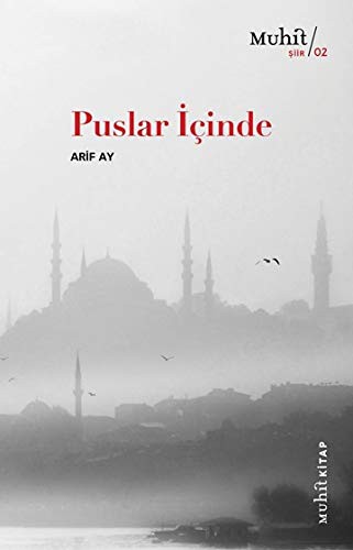 Puslar İçinde kitap kapağı