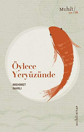 Öylece Yeryüzünde kitap kapağı
