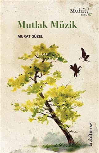 Mutlak Müzik kitap kapağı