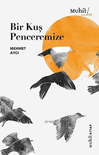 Bir Kuş Penceremize kitap kapağı