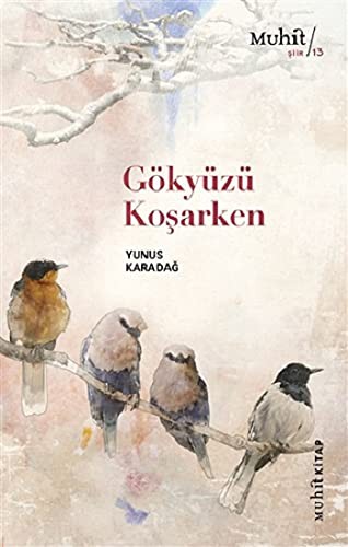 Gökyüzü Koşarken kitap kapağı