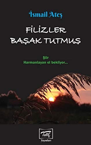 Filizler Başak Tutmuş kitap kapağı