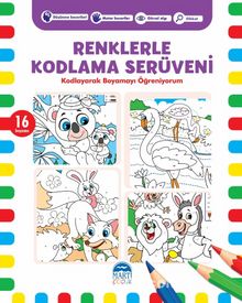 Renklerle Kodlama Serüveni 4 kitap kapağı