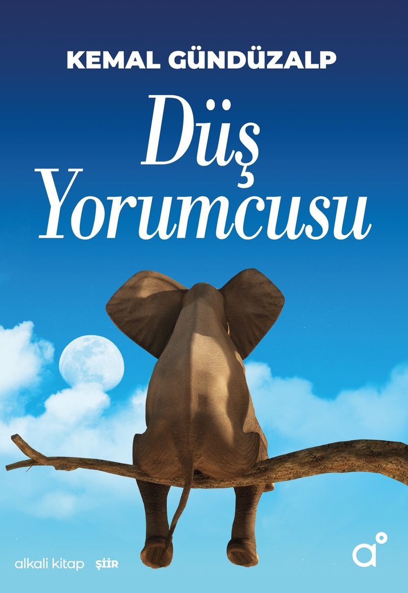 Düş Yorumcusu kitap kapağı