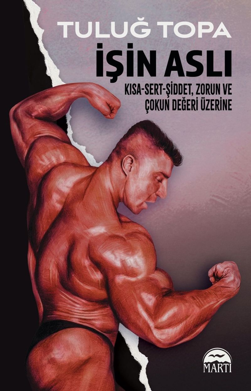 İşin Aslı Kısa-Sert-Şiddet, Zorun ve Çokun Değeri Üzerine kitap kapağı