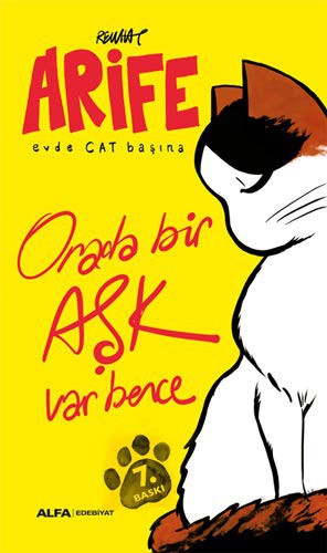 Arife - Evde Cat Başına&Orada bir Aşk Var Bence kitap kapağı