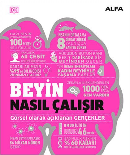 Beyin Nasıl Çalışır (Ciltli) & Görsel Olarak Açıklanan Gerçekler kitap kapağı